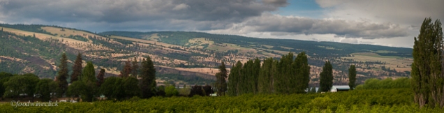 The Memaloose winery and Mistral Ranch vineyard are across the Columbia.