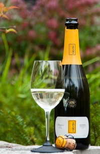 Adami is a very good Prosecco producer with a number of different wines.