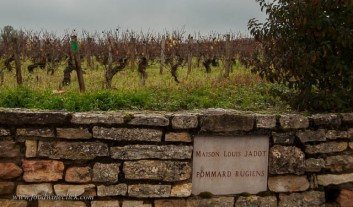 A "Clos" is a vineyard surrounded by a stone wall