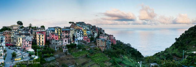 The Cinque Terre combines stunning scenery with terraces covered with grapes