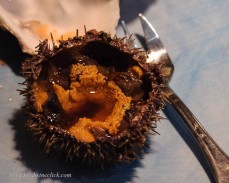 Fresh sea urchin for you to try