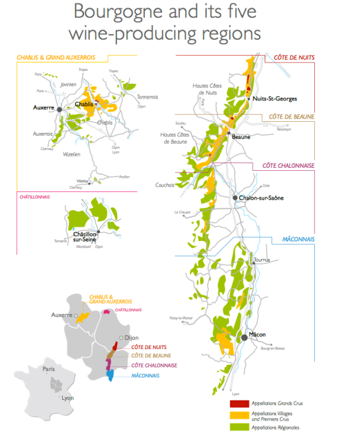 Burgundy wine map courtesy of Bourgogne Wines