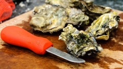 Nisqually oysters
