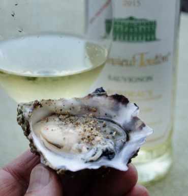 raw oyster and Bordeaux blanc