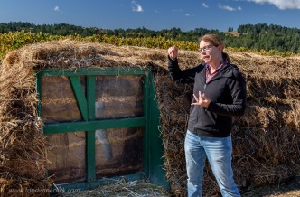 Our guide, Casey, explained the importance of compost. Different from typical compost where a high temperature is required to kill all the bugs, Biodynamic compost is managed to avoid excessive heat. Think of it as fermentation!