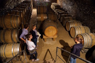 Biodynamics extends into the cellar, with no chemical interventions and operations timed by phase of the moon.