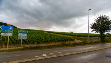 Rain during the growing season is a threat in many wine regions in France. You can see the wet road from a June downpour here in Chablis.