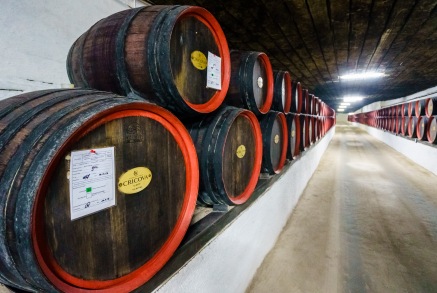 Entire wineries build underground