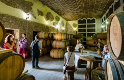 Traditional cellars at Asconi